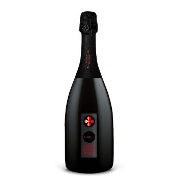 Valdobbiadene Prosecco Superiore Docg – Terra Vizina