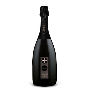 Spumante Millesimato Extra Dry – Terra Vizina