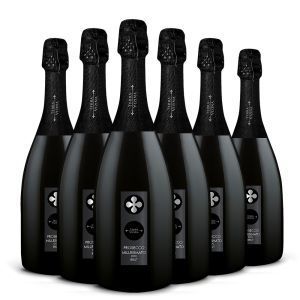 Prosecco Doc Millesimato Brut – 6 bt – Terra Vizina