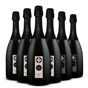 Assaggio Prosecco Doc – 6 bt – Terra Vizina
