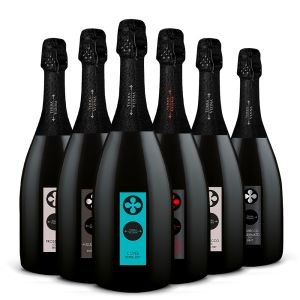 Degustazione Prosecco e Spumanti – 6 bt – Terra Vizina