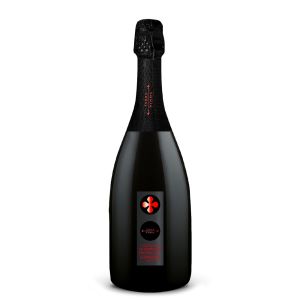 Valdobbiadene Prosecco Superiore Docg – Terra Vizina